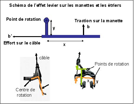 fig1