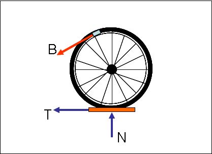 fig1