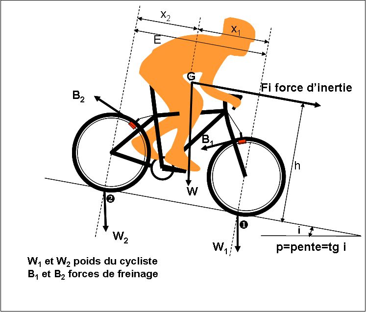 fig1